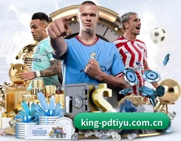 king-pdtiyu.com.cn APP 深度功能